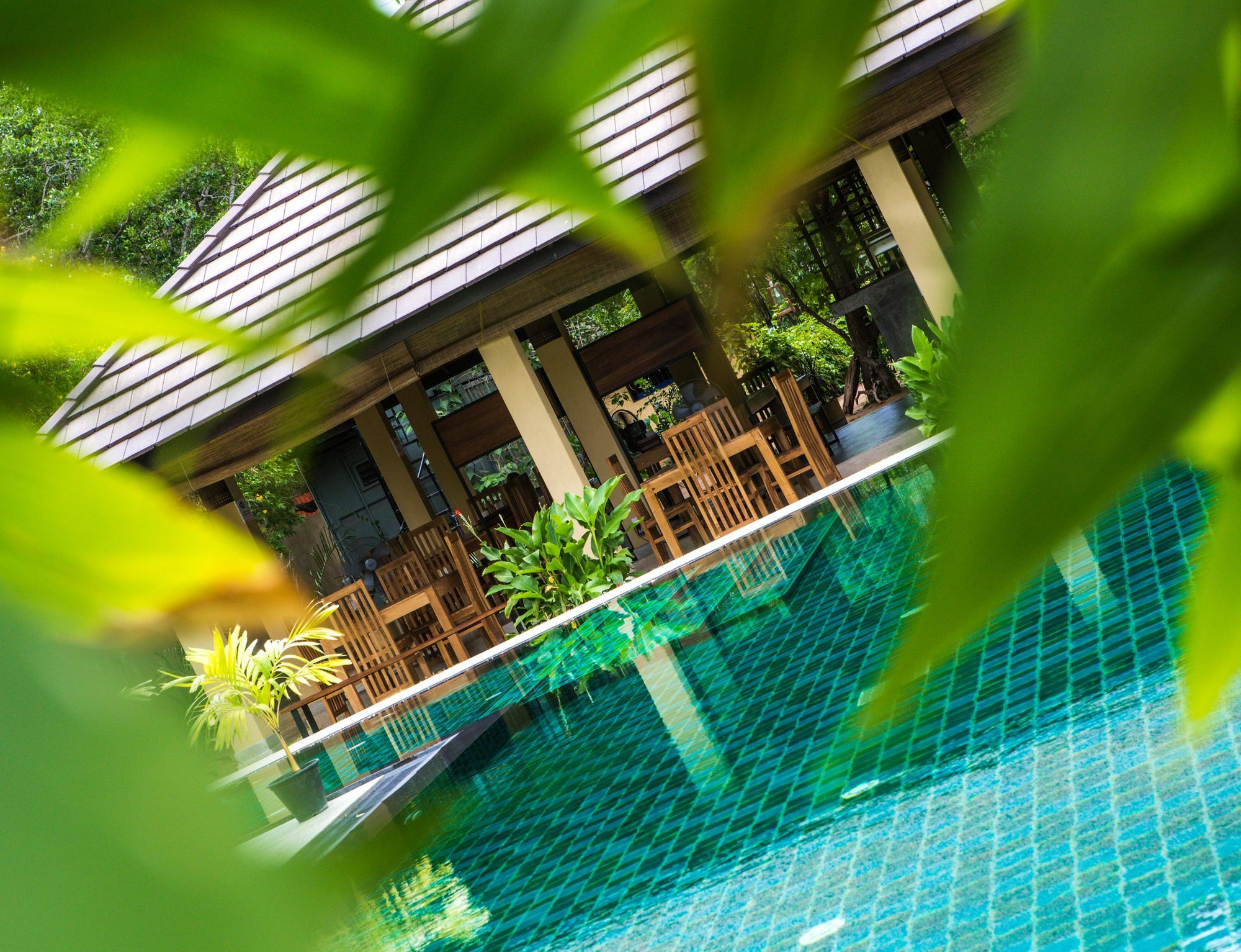 The Spice Trail Hotel Arugam Bay Eksteriør billede